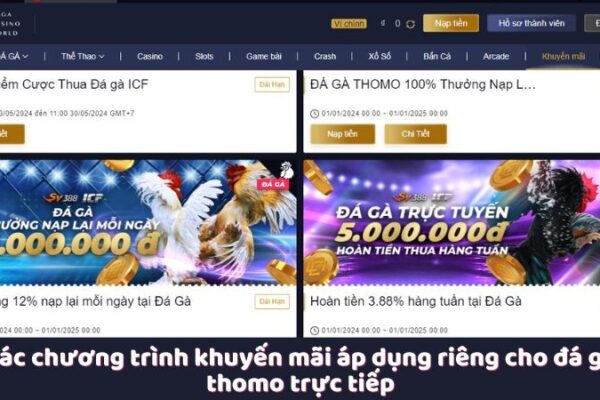 Đá Gà Thomo Trực Tiếp – Trải Nghiệm Giải Trí Cá Cược Đỉnh Cao