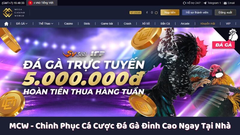 Những lý do bạn nên chọn nhà cái mcw đá gà